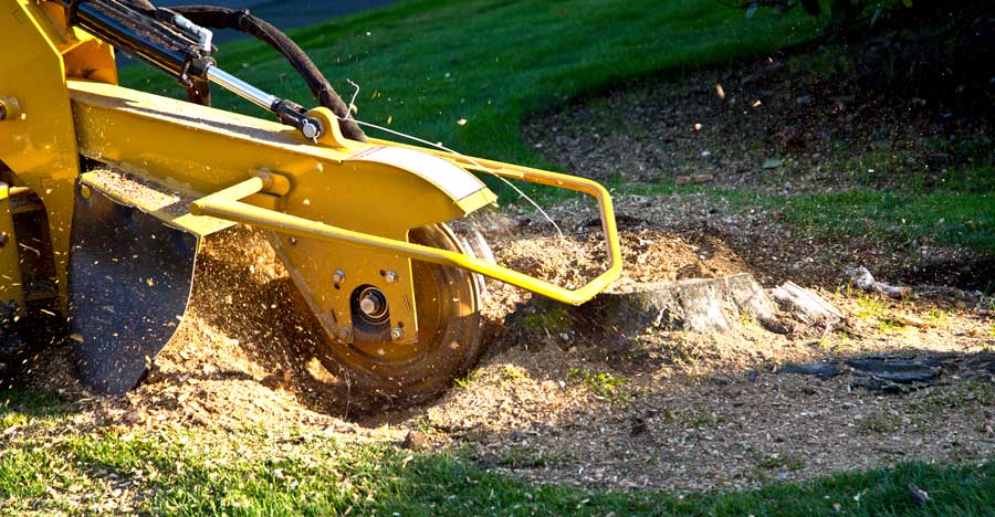 Stump Grinding Tree Services - Landcare